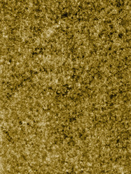 Similar image 573760