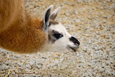 Similar image 573770