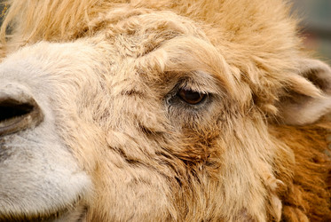 Similar image 573774