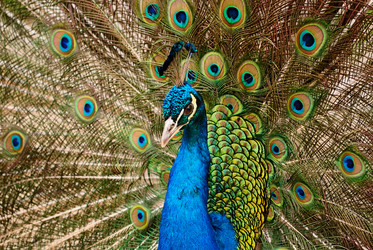 Similar image 573776