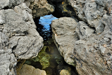 Similar image 573786