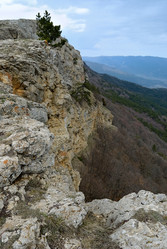 Similar image 573792