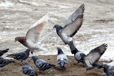 Similar image 573821