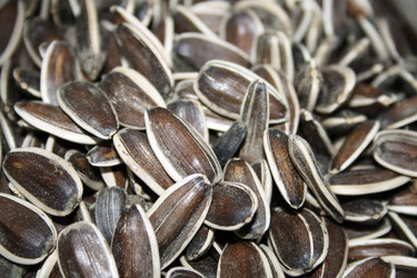 Similar image 573881