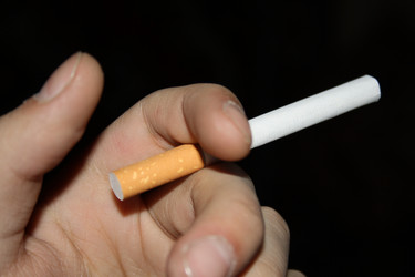 Similar image 573885