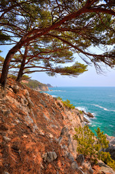 Similar image 573888