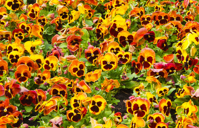 Similar image 573899