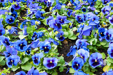 Similar image 573903