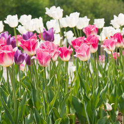 Similar image 573916