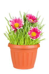 Similar image 574018