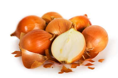 Similar image 574029