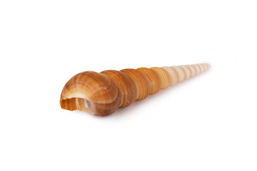 Similar image 574037