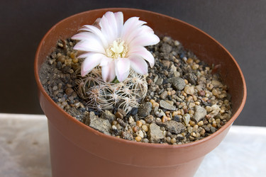 Similar image 574089