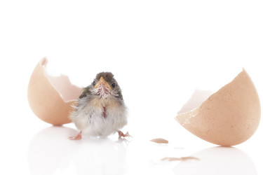 Similar image 574196