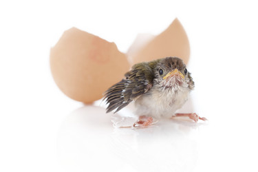 Similar image 574200