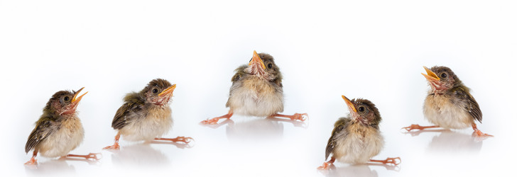 Similar image 574204