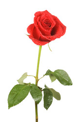 Similar image 574368