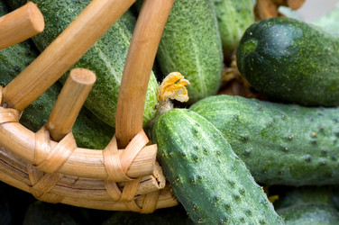 Similar image 574392