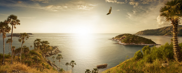 Similar image 574394