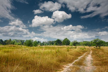 Similar image 574408