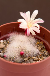 Similar image 574482