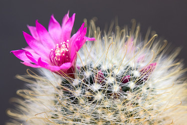 Similar image 574483