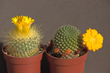 Similar image 574485