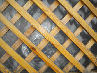 Similar image 574563