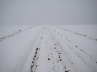 Similar image 574603