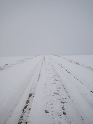 Similar image 574604