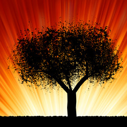 Similar image 574619