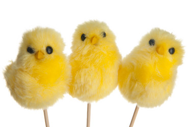 Similar image 574624