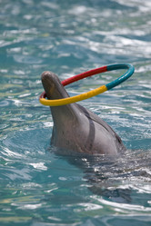 Similar image 574626