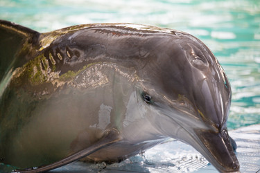 Similar image 574632