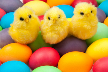 Similar image 574633