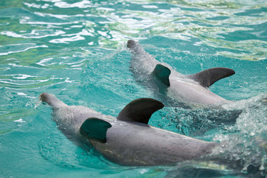 Similar image 574636