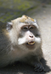 Similar image 574656