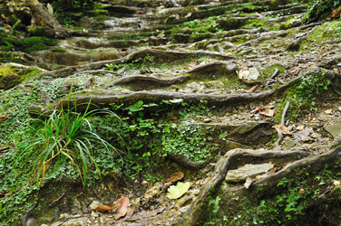 Similar image 574660