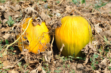 Similar image 574661