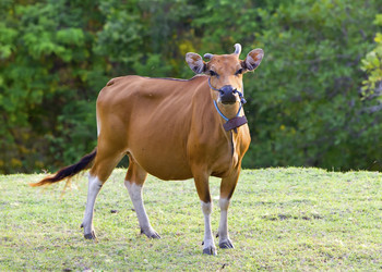 Similar image 575022