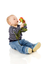 Similar image 575166