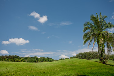 Similar image 575192