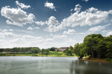 Similar image 575195