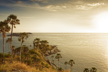 Similar image 575208