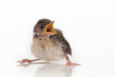 Similar image 575281