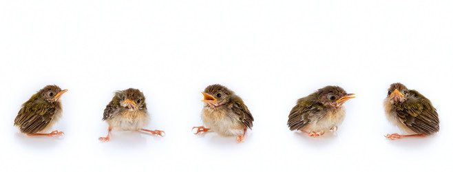 Similar image 575282