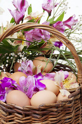 Similar image 575295