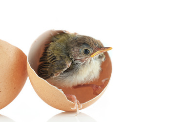 Similar image 575297