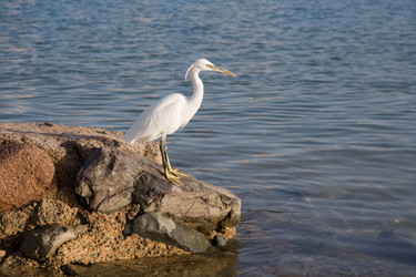 Similar image 575428