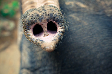 Similar image 575437